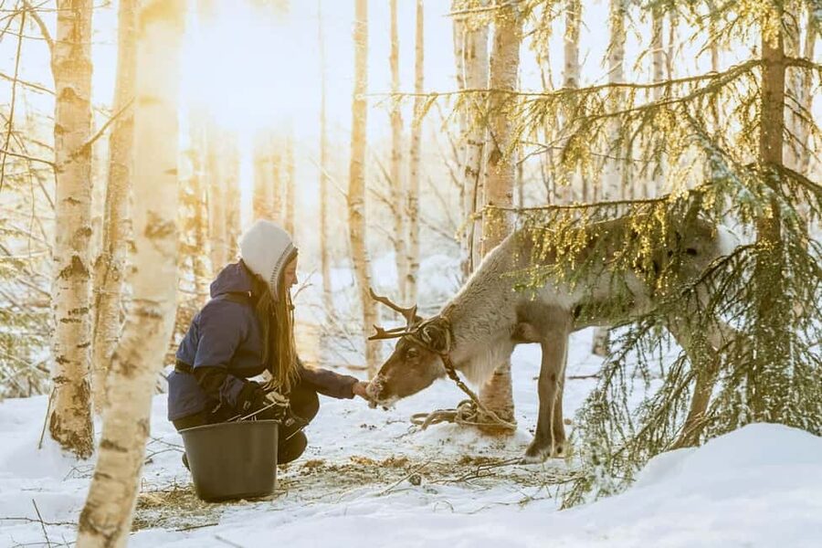 Rovaniemi: Reindeer Safari at 200-Year-Old Farm & Sled Ride - First Stop: Heated Vans, Thermal Overalls, and Staying Comfortable