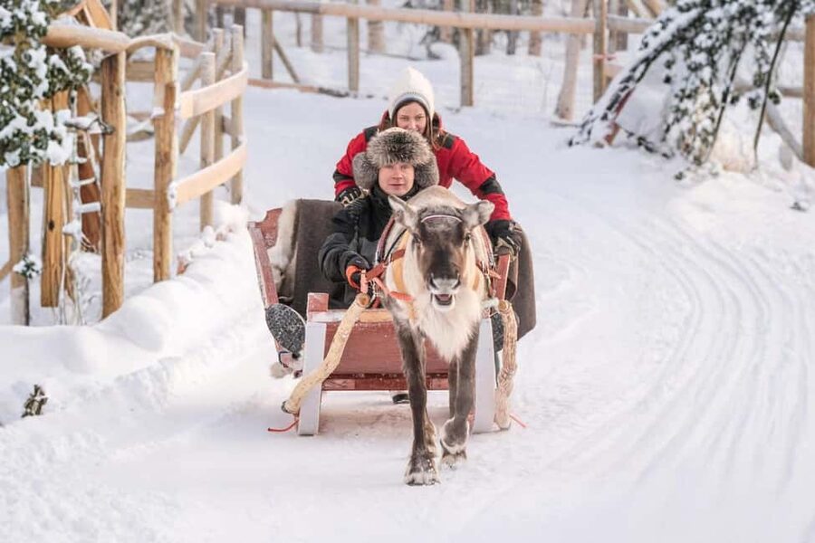 Rovaniemi: Reindeer Safari at 200-Year-Old Farm & Sled Ride - The Traditional Sled Ride: 2.5 km of Quiet Forest Time
