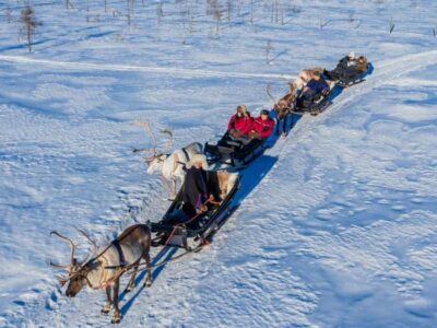 Rovaniemi: Reindeer Safari at 200-Year-Old Farm & Sled Ride - The 200-Year-Old Reindeer Farm: Real People, Real Routine