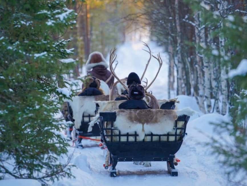 Rovaniemi: Reindeer Safari at 200-Year-Old Farm & Sled Ride - The Reindeer Driving License: A Silly-Smart Souvenir You’ll Actually Keep