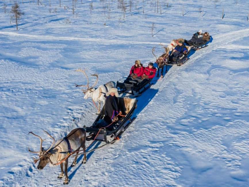 Rovaniemi: Reindeer Safari at 200-Year-Old Farm & Sled Ride - The 200-Year-Old Reindeer Farm: Real People, Real Routine