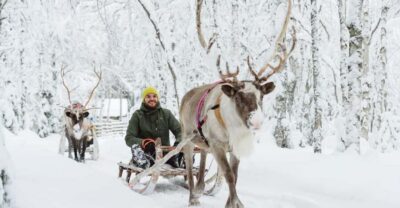 Rovaniemi: Saami Reindeer Farm Visit & Sleigh Ride - Meeting the herd: what the farm visit actually gives you