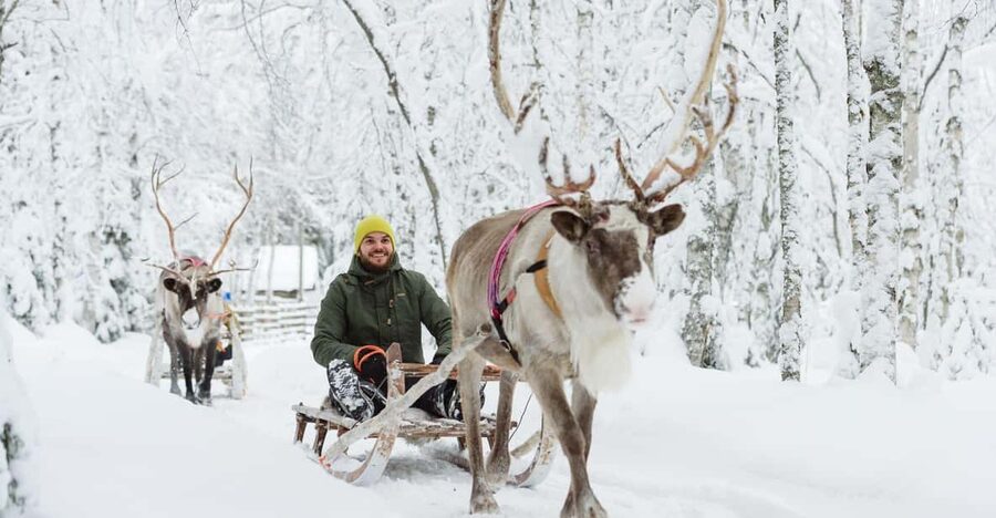 Rovaniemi: Saami Reindeer Farm Visit & Sleigh Ride - Meeting the herd: what the farm visit actually gives you
