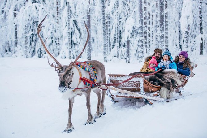 Rovaniemi Santa Claus Village Husky Reindeer Farm Arctic Museum - Group Size, Waiting Times, and the Guide Factor
