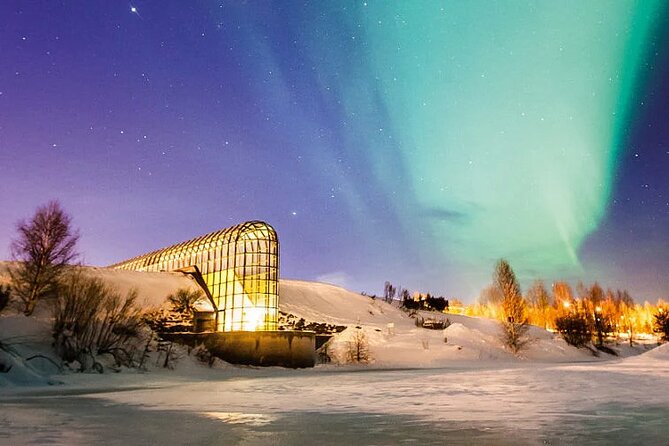 Rovaniemi Santa Claus Village Husky Reindeer Farm Arctic Museum - Huskies and Reindeer Sleigh Ride: Two Different Speeds of Winter Joy