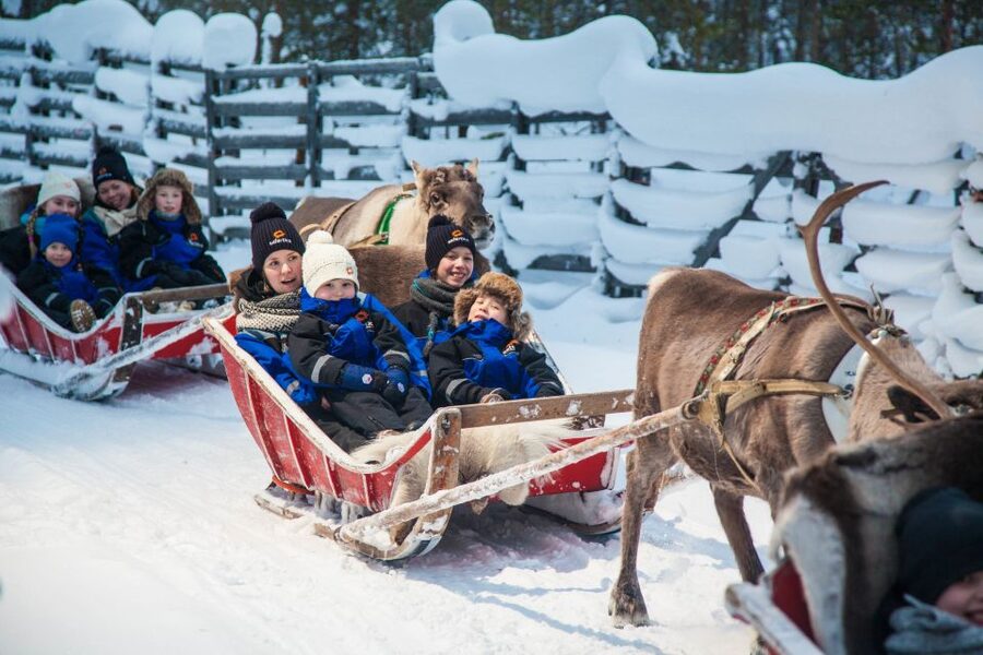 Rovaniemi: Santa’s Village & Snowmobiling to Reindeer Farm - Reindeer Farm: Feeding, a Short Sleigh Ride, and a Reindeer License