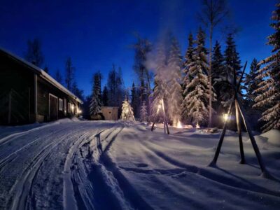 Rovaniemi:Self-drive Husky safari with a Reindeer Farm visit - Reindeer Farm Access by Sleigh Only: Feeding Time That Actually Feels Calm