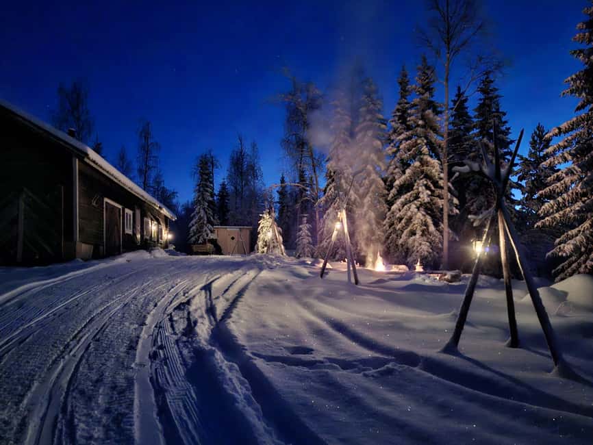Rovaniemi:Self-drive Husky safari with a Reindeer Farm visit - Reindeer Farm Access by Sleigh Only: Feeding Time That Actually Feels Calm