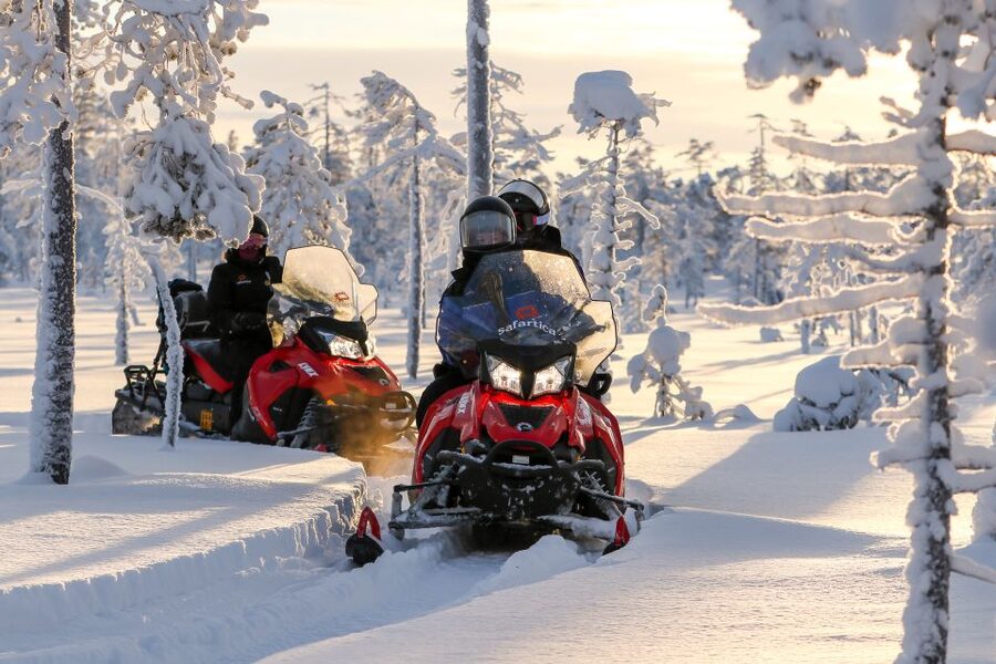 Rovaniemi: Snowmobile Safari to a Reindeer Farm - Key Points Worth Knowing Before You Go
