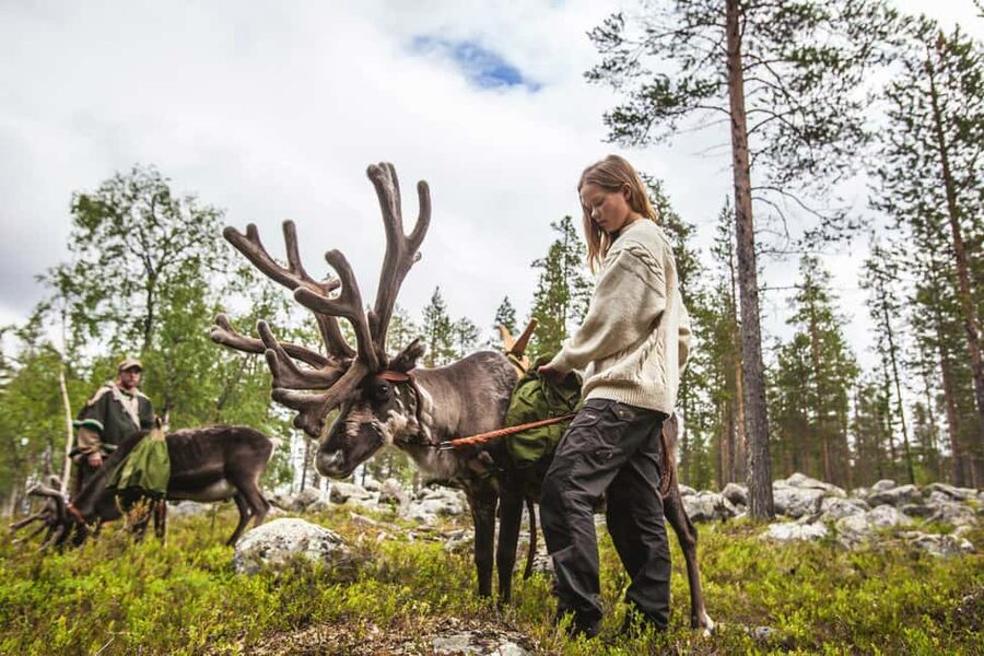Rovaniemi: Summer/Autumn Reindeer Farm Experience - Time, pickup, and how the 2 hours move