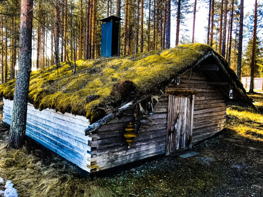 Rovaniemi: Summer Reindeer Farm Experience - Key Highlights You’ll Notice Fast
