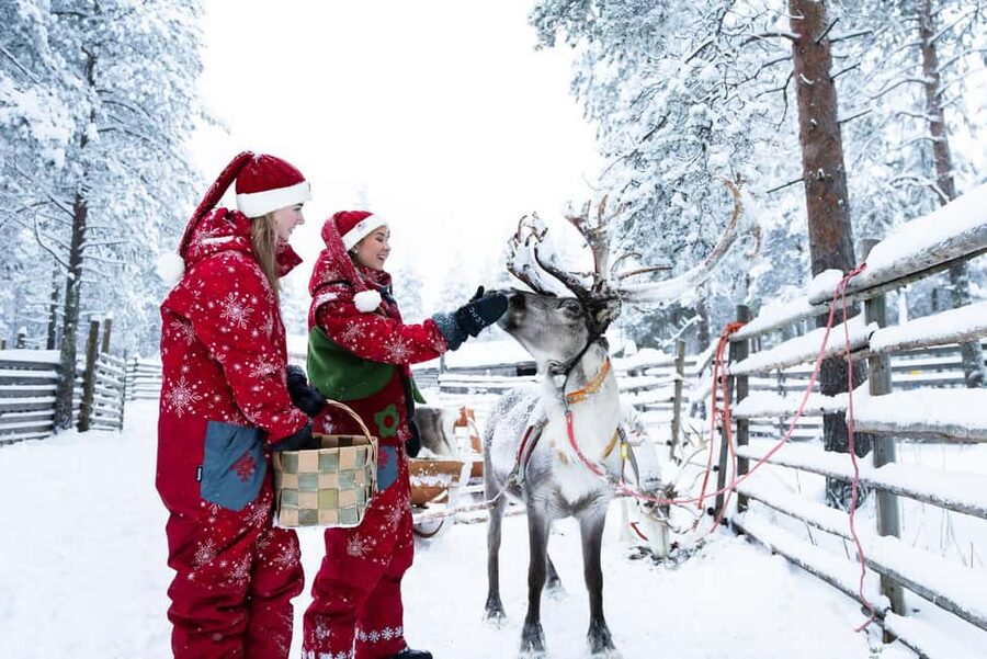 Rovaniemi: Visit to Santa's reindeer farm with reindeer ride - At the farm: reindeer, herder stories, and hands-on calm
