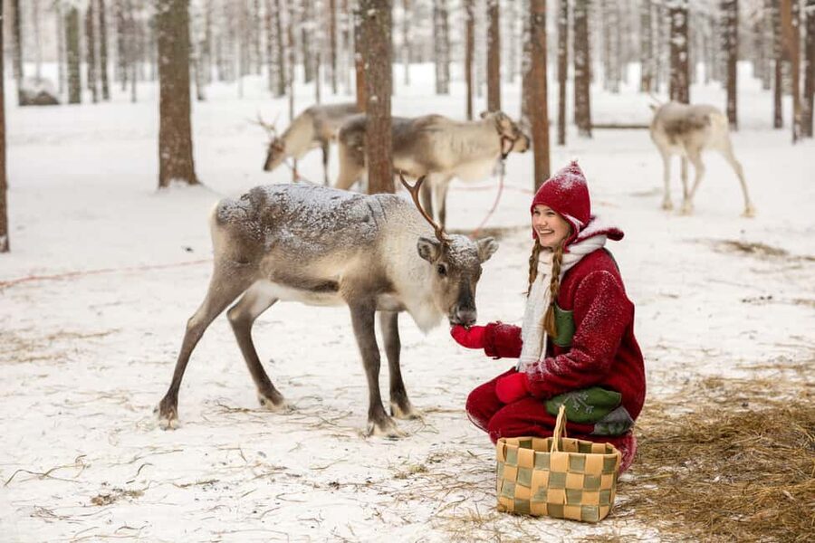 Rovaniemi: Visit to Santa's reindeer farm with reindeer ride - Elf suites and photo moments: fun you can customize