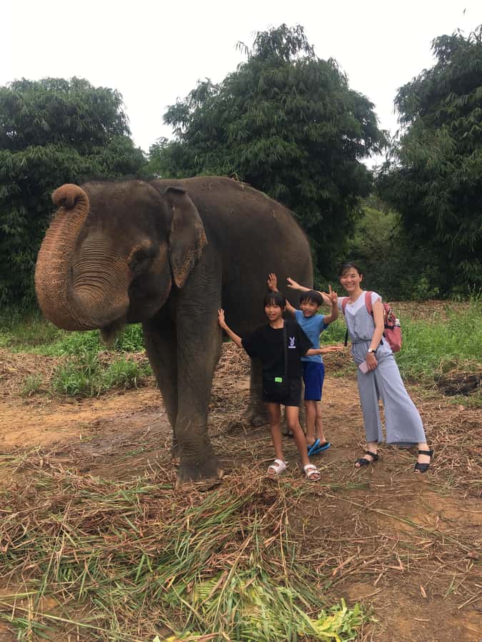Safari Lagoi & Eco Farm Bintan - Safari Lagoi Eco Farm: a rescue center inside the Lagoi resort zone