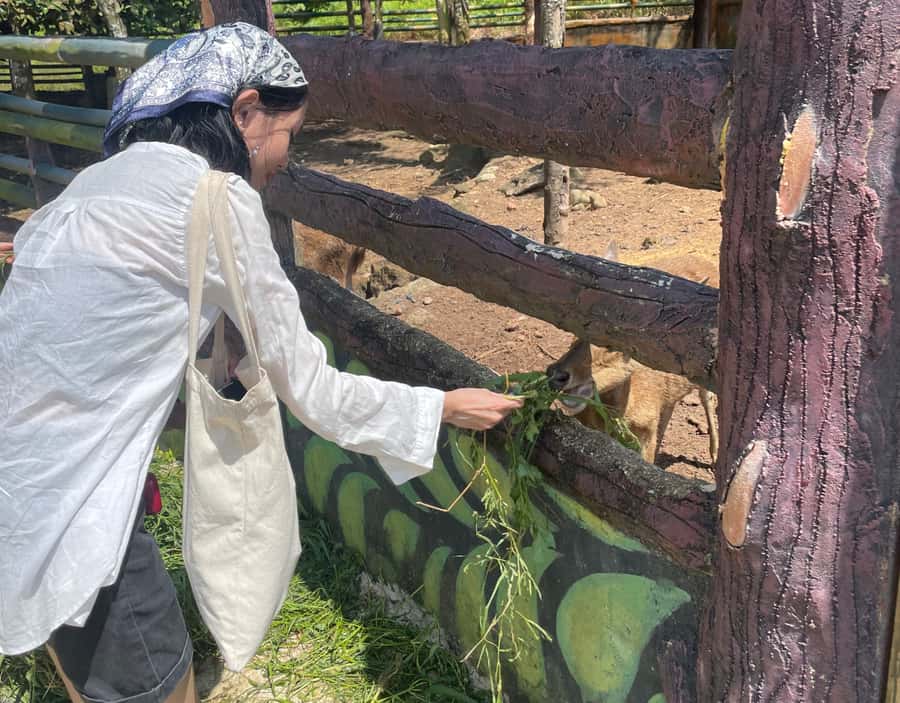 Safari Lagoi & Eco Farm Bintan - Price and logistics: when $27 is a strong deal in Bintan