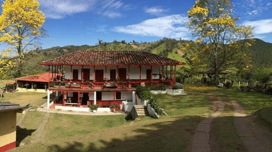 Salento and Cócora Tour + Coffee Farm from Pereira/Armenia - Getting There From Pereira or Armenia Without Losing the Day