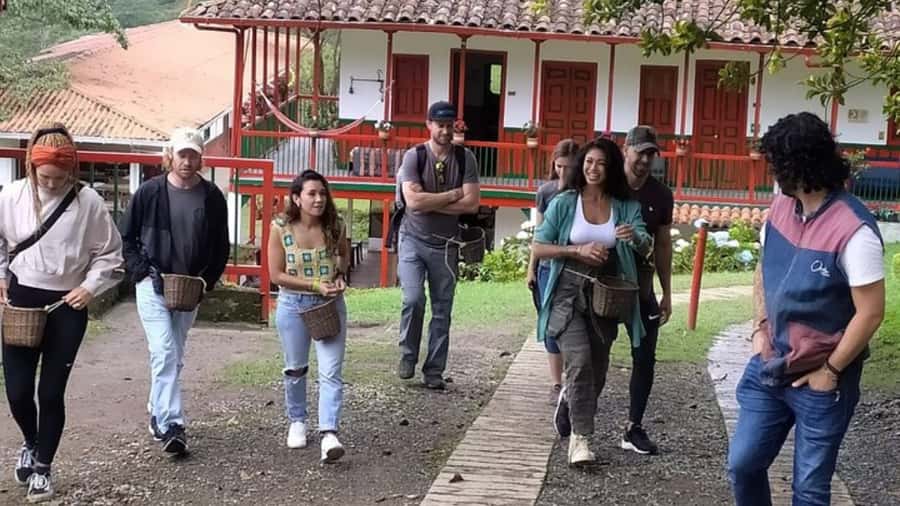 Salento and Cócora Tour + Coffee Farm from Pereira/Armenia - Who This Tour Fits Best (and Who Should Skip It)