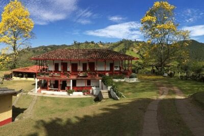 Salento and Cócora Tour plus Coffee Farm from Pereira or Armenia - Salento in One Hour: Royal Street, Crafts, and Quick Photos