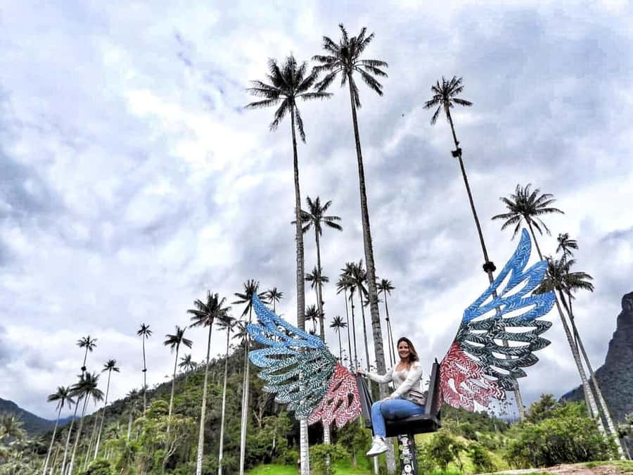Salento: Private Cocora Valley, Salento & Coffee Farm Tour - Key things that make this tour worth it