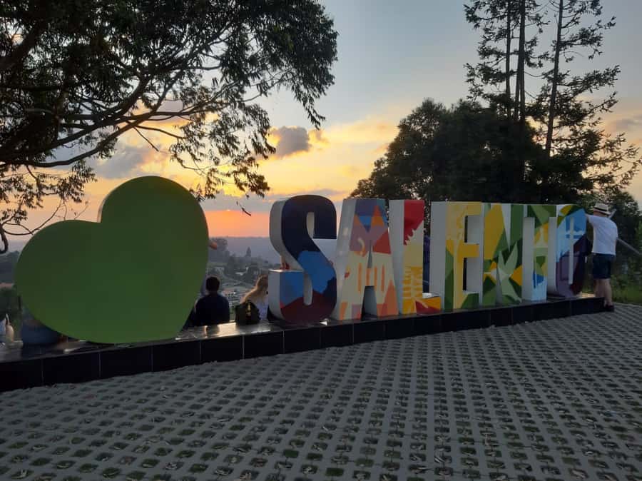 Salento: Private Cocora Valley, Salento & Coffee Farm Tour - Coffee Triangle meets the real farm: cherry to cup, not coffee theater