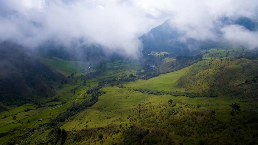 Salento: Private Cocora Valley, Salento & Coffee Farm Tour - Price and value: is $157 per person fair for what you get?