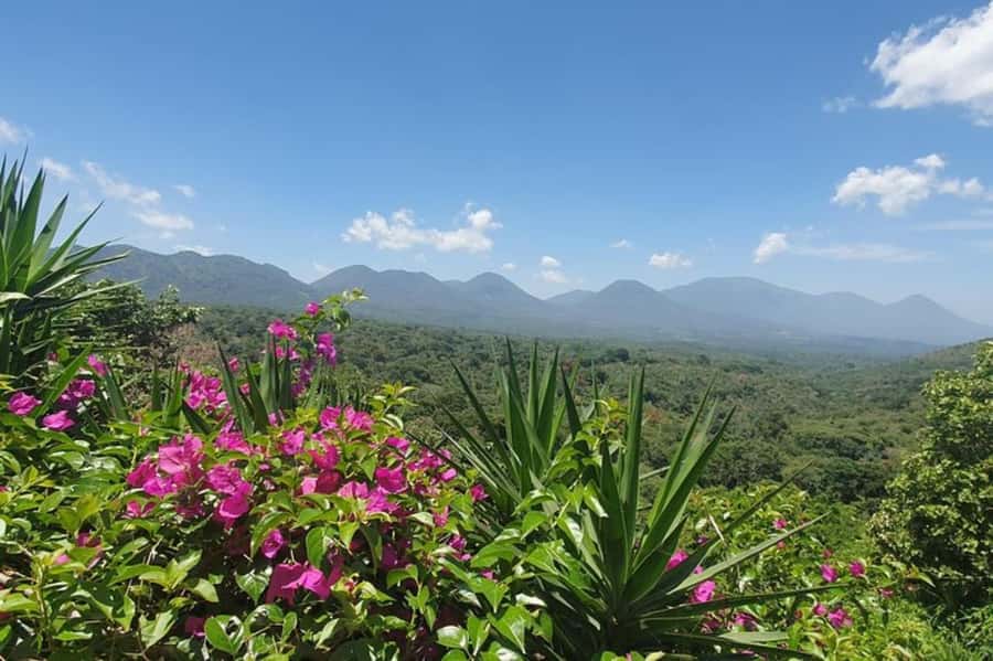 San Salvador: Full Day Ruta de Las Flores and Coffee Farm - How this Ruta de Las Flores day actually works