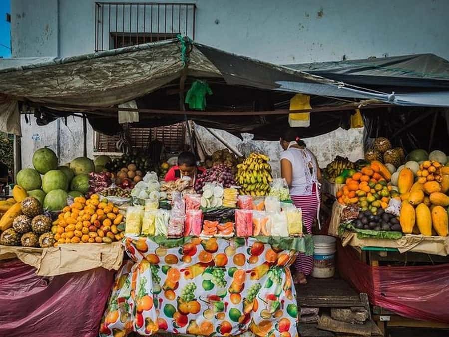 San Salvador: Full Day Ruta de Las Flores and Coffee Farm - Apaneca Mountains drive: why the route feels like more than transport