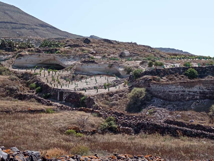 Santorini: Private Agri-Educational Visit to an Organic Farm - Key highlights worth showing up for