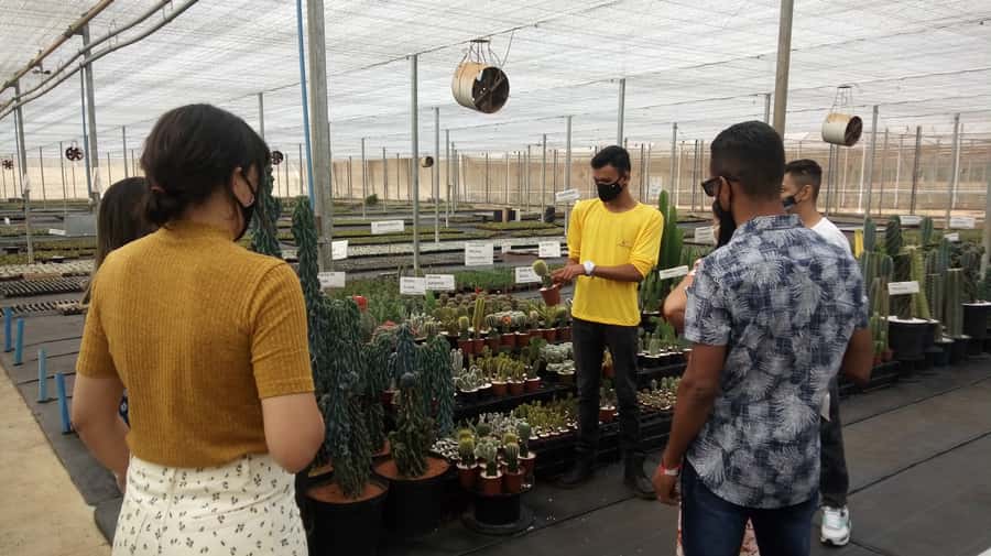 São Paulo: Holambra Colorful Flower Farm Guided Day Trip - Dutch immigration context: what you’ll take away