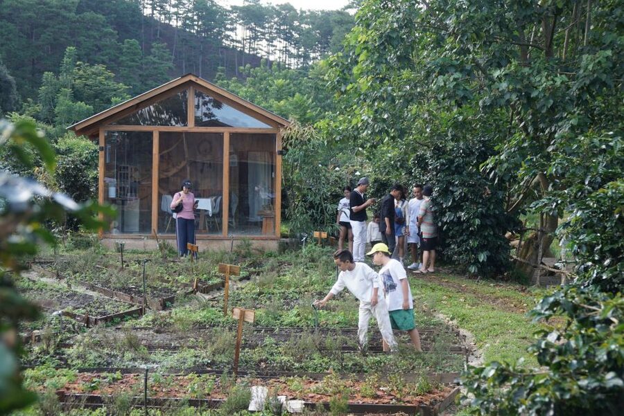 Scented candle workshop at Twin Beans Farm - Da Lat suburb - Coffee plantation stop: a farm break that doesn’t waste time