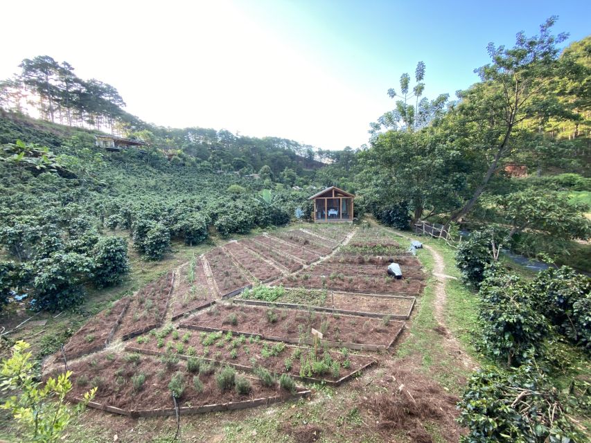 Scented candle workshop at Twin Beans Farm - Da Lat suburb - What’s included, and why that affects value