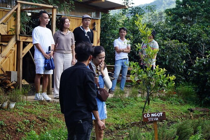 Scented Candle Workshop in Twin Beans Farm Da Lat - Price and logistics: $13.85 that actually feels fair