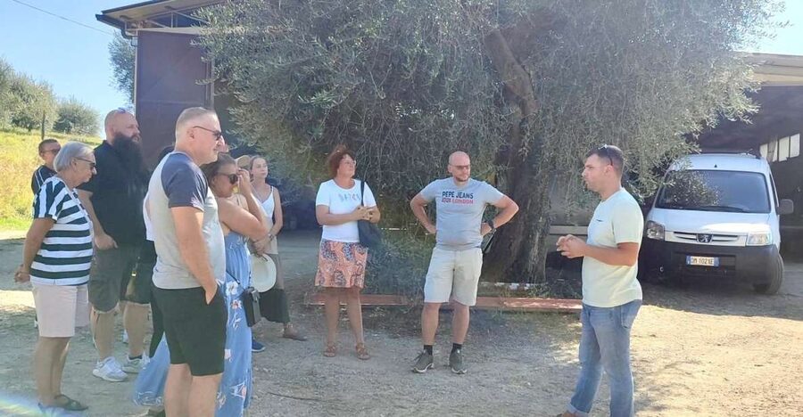 Seggiano: Typical Tuscan Farm Tour with Olive Oil Tasting - How extra virgin olive oil is produced here (and what sustainability means)