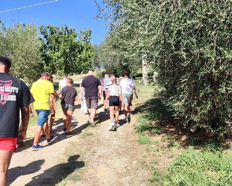 Seggiano: Typical Tuscan Farm Tour with Olive Oil Tasting - Price and value: is $53 for a 2-hour oil tour worth it?