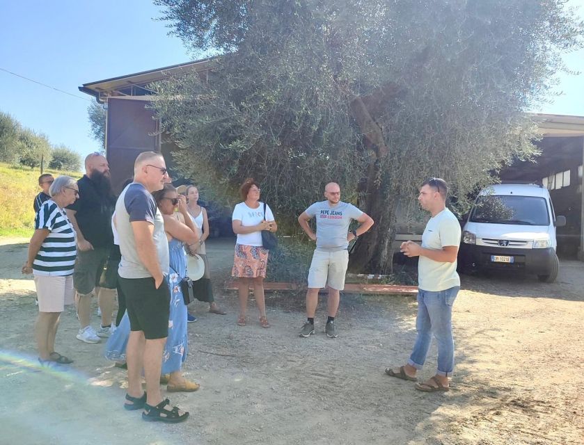 Seggiano: Typical Tuscan Farm Tour with Olive Oil Tasting - Practical tips so your visit goes smoothly