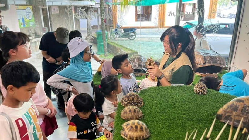 Selangor: Farm In The City Entry Ticket - Should You Book Farm In The City in Selangor?