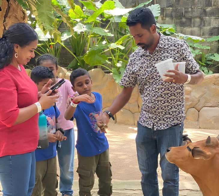 Selangor: Farm In The City Entry Ticket - Price and Value: Is $10 a Good Deal?