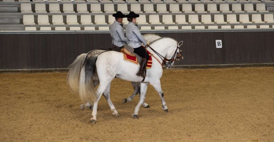 Seville: Horse's Show Entry Ticket. Optional Stud Farm Visit - Key highlights at a glance
