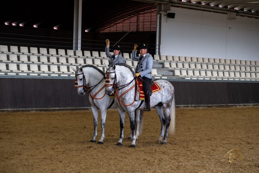 Seville: Horse's Show Entry Ticket. Optional Stud Farm Visit - Story of a Champion: seven stops and a values-based tour