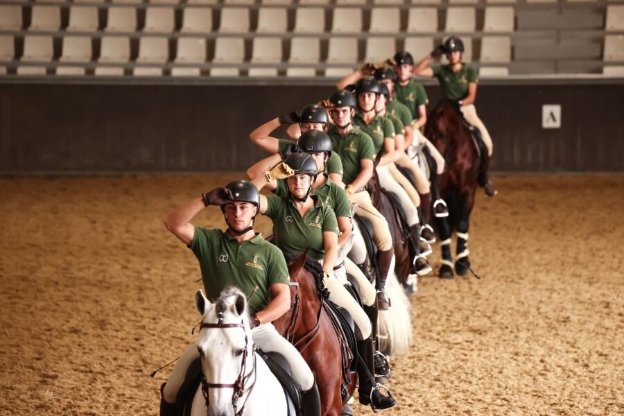 Seville: Horse's Show Entry Ticket. Optional Stud Farm Visit - TRADITIONS show: what the performance is doing for your attention