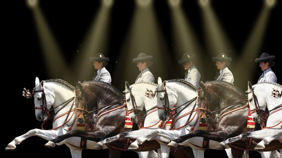 Seville: Horse's Show Entry Ticket. Optional Stud Farm Visit - Practical logistics: getting there and not losing time