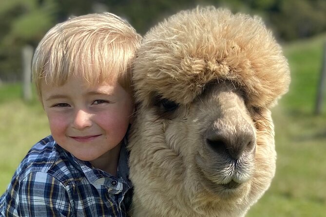 Shamarra Alpaca Farm Tours - The alpaca lessons you’ll actually remember