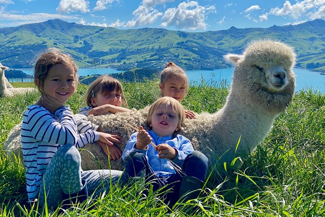Shamarra Alpaca Farm Tours - Who should book Shamarra Alpaca Farm Tours