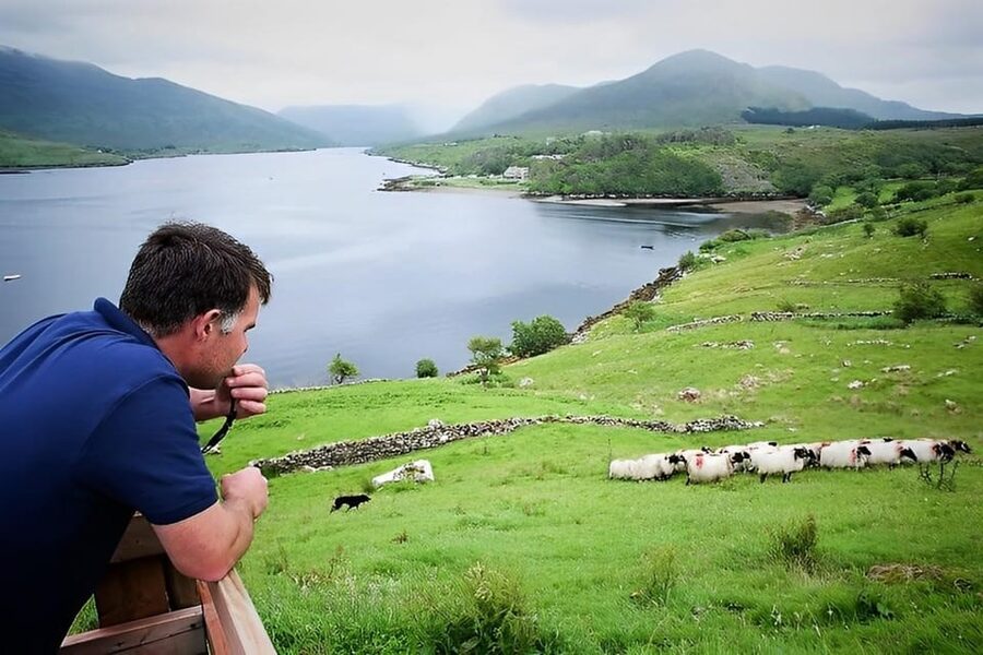 Sheepdog herding demo on working sheep farm. Galway. Guided. - Bog-cutting try-it moment: working with the slean (turf spade)