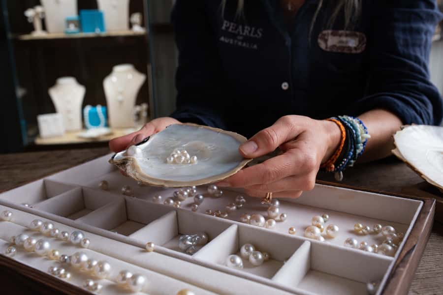 Shell to Showroom - Sydney's only Pearl Farm Experience - Who this tour fits best