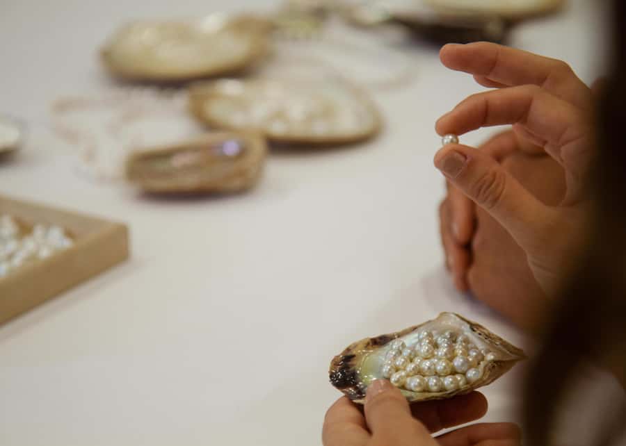 Shell to Showroom - Sydney's only Pearl Farm Experience - Should you book Shell to Showroom?