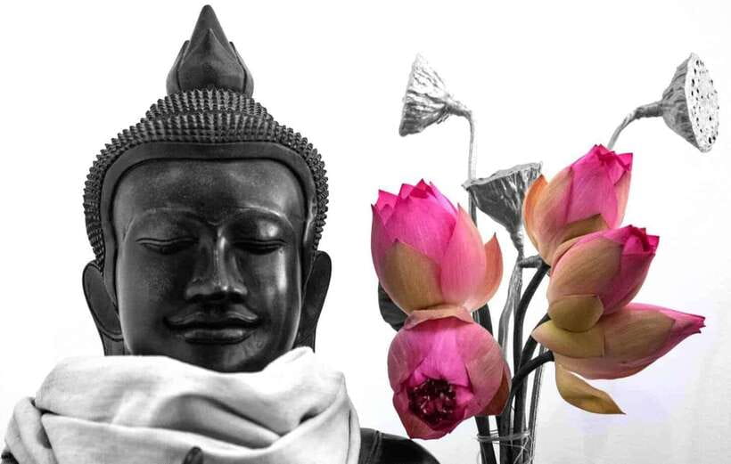 Siem Reap Lotus Silk Farm Discovery tour & Lake experience - Where lotus silk fits into your Siem Reap trip
