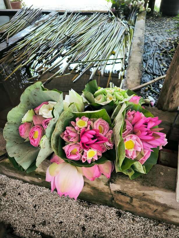 Siem Reap Lotus Silk Farm Discovery tour & Lake experience - Lotus tea, biscuits, and that rooftop café pause