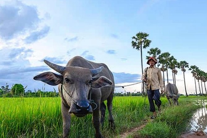 Siem Reap: Silk Farm & Countryside Offbeat Jeep Tour - Why a vintage jeep countryside run makes sense in Siem Reap