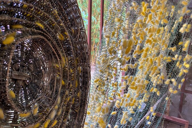 Siem Reap: Silk Farm & Countryside Offbeat Jeep Tour - Price and value: is $55 a fair deal for this half-day?